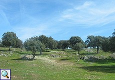 Dehesa bei Trujillo in der Extremadura