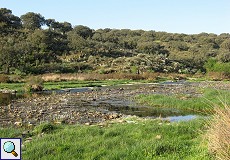 Río Almonte westlich von Jaraicejo