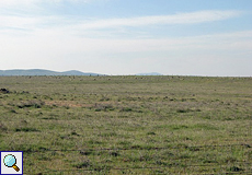 Schafherde auf den Llanos de Belén