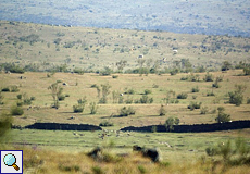 Sanft geschwungenes Hügelland: die Llanos de Trujillo y Cáceres