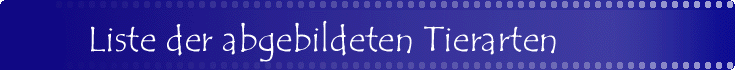 Liste der abgebildeten Tierarten