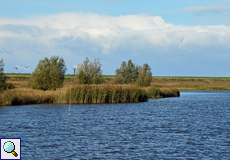 Auf dem Speicherbecken im Naturschutzgebiet Leyhörn