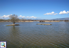 Der Teich 'Estany del Cortalet'