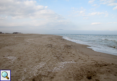 Strand des Naturschutzsgebiets Aiguamolls de l'Empordà
