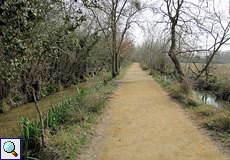Weg im Naturschutzgebiet Aiguamolls de l'Empordà