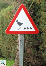 Hinweisschild im Naturschutzgebiet Aiguamolls de l'Empordà