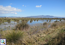 Überschwemmte Wiese im Naturschutzgebiet Aiguamolls de l'Empordà