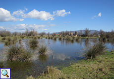 Naturschutzgebiet Aiguamolls de l'Empordà