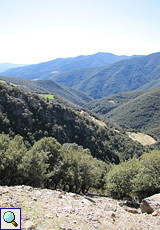 Aussicht im Naturpark Montseny
