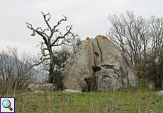 Im Naturschutzgebiet Aiguamolls de l'Empordà