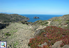 Blick auf die Illa de Portaló am Cap de Creus