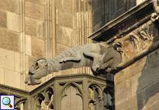 Einer der vielen Wasserspeier des Kölner Doms