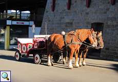 Pferdekutsche am Fuße des Drachenfels