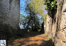 Zwischen den Mauern der Burgruine auf dem Drachenfels