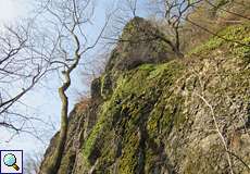 Mit Moos und niedriger Vegetation bewachsene Felswand