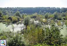 Blick auf den See im NSG Am Hornpottweg aus nördlicher Richtung