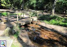 Brücke am Sellbach im Königsforst