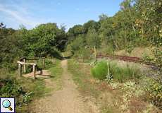 Eine alte Bahntrasse säumt den Wanderweg in der Wahner Heide