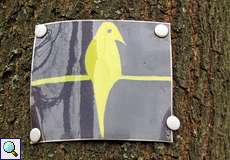 Das Vogel-Piktogramm kennzeichnet in der Wahner Heide die Geisterbusch-Tour
