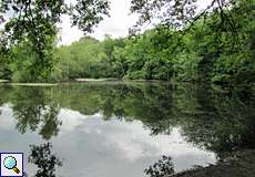 Blick auf den Leyenweiher in der südlichen Wahner Heide