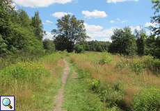 Heidelandschaft im Hühnerbruch, Wahner Heide