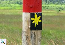 Das Moorlilien-Piktogramm zeigt in der Wahner Heide die Herfeld-Route an