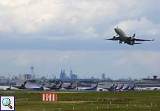 Auf dem Gelände des Köln Bonn Airport gibt es wertvolle Naturrefugien