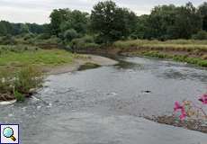 Die Agger im Süden der Wahner Heide