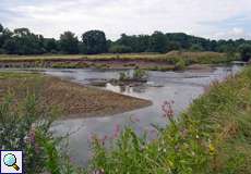 Die Agger hat stellenweise sandige und mit Kies bedeckte Uferstreifen