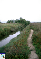 Kanal neben einem Damm zwischen den Salinenbecken