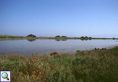 Salinenbecken bei Alikés