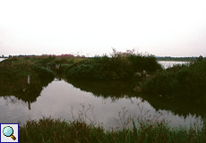 Dämme zwischen den Salinenbecken an einem trüben Tag