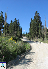 Straße bei Mólos/Lefkími