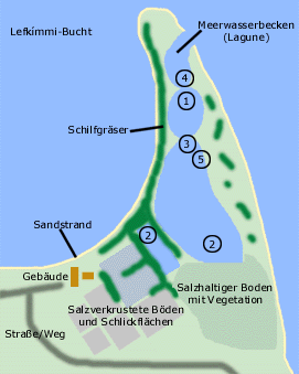 Lageplan der Beobachtungen in den Salinen