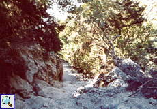 Schmaler Weg in der Ímbros-Schlucht