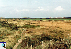 Naturlehrpfad im Westen der Insel Langeoog