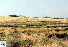 Die schöne Landschaft im Pirolatal