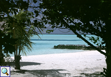 Der Strand auf Dhigufinolhu