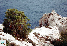 Aussicht am Cap de Formentor