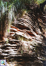 Erodierte Felsformation im Naturpark