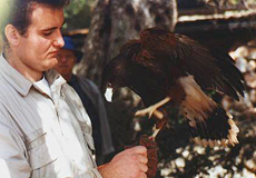 Während der Greifvogel-Show