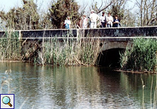 Sa-Roca-Brücke am Gran Canal