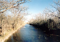 Canal de Siurana in S'Albufera, Foto © Monika Brandstetter