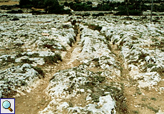 Die Karrenspuren Maltas, auf Englisch Clapham Junction Cart Ruts