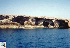Maltesischer Küstenabschnitt mit Höhlen und Nischen