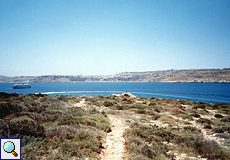 Trampelpfad auf Cominotto, im Hintergrund ist Gozo zu sehen