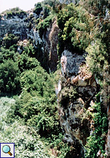 Üppige Vegetation in der Maqluba-Senke