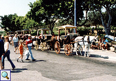 Pferdekutschen in Valletta
