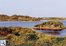 S'Albufera d'Es Grau