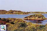 S'Albufera d'Es Grau
